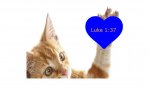 Luke 1-37 Cat.jpg