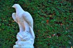 beautiful-white-eagle-statue-front-green-hay-65302383.jpg