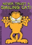 A Smiling Cat.jpg