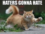 Haters Gonna Hate (2).jpg