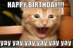 Birthday Cat.jpg Birthday Cat.jpg