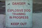 explosive dog.jpg