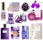 violets.jpg