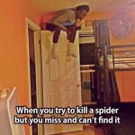 scared of spiders.jpg scared of spiders.jpg