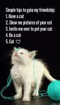 cat.jpg cat.jpg