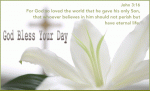 bible-1-162.gif