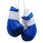 blue boxing gloves.jpg