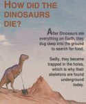 dino.jpg