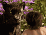 1553556315527.gif 1553556315527.gif