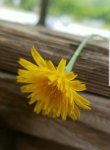 20190418_145339.jpg