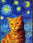 starry cat.jpg