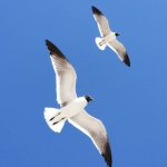 IMG_20190516_154417_837.jpg IMG_20190516_154417_837.jpg