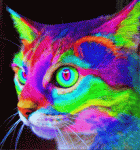 psychedelic-cat.gif