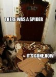 352292-There-Was-A-Spider-It-s-Gone-Now.jpg