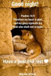 GN, Have A Peaceful Rest.jpg GN, Have A Peaceful Rest.jpg