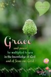 Grace in Jesus.jpg Grace in Jesus.jpg