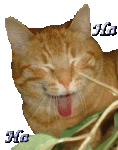 animal-graphics-cats-224313.gif