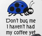 Don't Bug Me.jpg