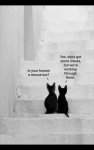 FB_IMG_1566253193365.jpg