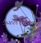 GN-purple-swt-drms.gif
