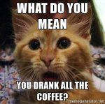 Drank All The Coffee.jpg