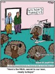 animals-exercise-exercising-turkeys-meats-lean-jmp071124_low.jpg