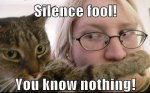 Silence-fool-You-know-nothing.jpg