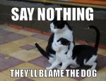say-nothing-they-ll-blame-the-dog-cat-meme.jpg