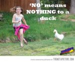 No-Means-Nothing-To-A-Duck-Funny-Meme.jpg
