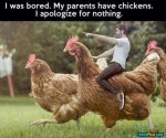 I-Was-Bored-My-Parents-Have-Chickens-I-Apologize-For-Nothing-Funny-Chicken-Meme-Picture.jpg I-Was-Bored-My-Parents-Have-Chickens-I-Apologize-For-Nothing-Funny-Chicken-Meme-Picture.jpg