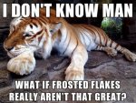 37-Funny-Animal-Memes-That-Will-Have-You-LOL-12-720x540.jpg