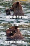 Funny-Memes---yes-this-is-bear.jpeg.jpg