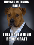 Animal-Memes---high-return-rate.png