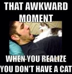 the-awkward-moment-when-you-dont-have-a-cat.jpg