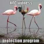 funny-picture-with-captions-kfc-witness-protection-program.jpg
