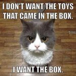 the-animal-memes-68.jpg
