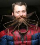 beard spiderbeard.jpg