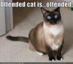 offended2.jpg
