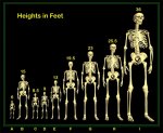 nephilim.jpg