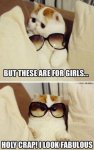cat-glasses 4 girls.jpg