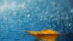 beautiful-rain-pictures-45-photos-14.jpg