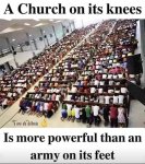 FB_IMG_1573925534706.jpg