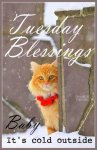 Tuesday Blessings (3).jpg