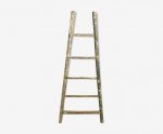ancient-ladder-of-stepladder-painter_original.jpeg