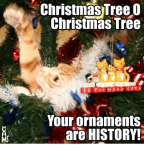 christmas-tree0-christmas-tree-your-ornaments-are-history-29772033.png