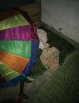 20191210_072612.jpg