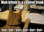 Cat Control Freak.jpg