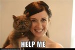 cd26e_funny-pictures-help-me.jpg
