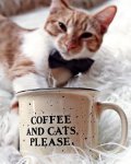 Coffee & Cats, Please.jpg