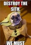 1988469301-funny-pictures-humor-destroy-the-sith-we-must-pug-yoda-jedi.jpg